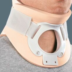 Collare bivalva Orthofasty