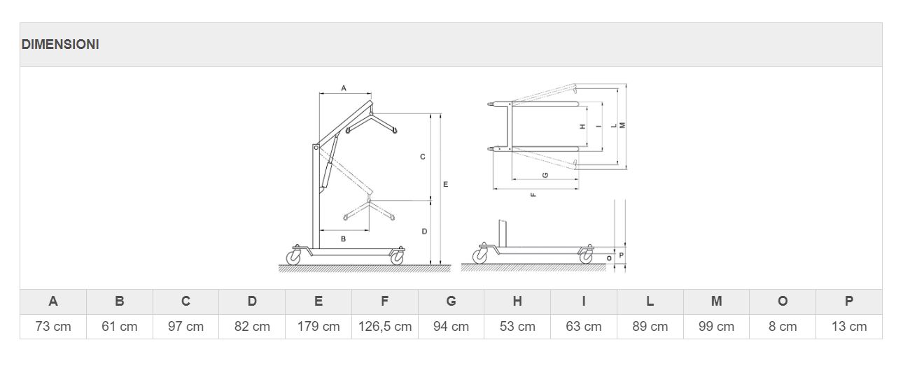 Specifiche sollevamalati RI828 Orthofasty