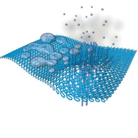 IN-CROSS 33- Corsetto Elastico - immagine 6