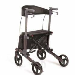 Rollator Pieghevole MORETTI RP550