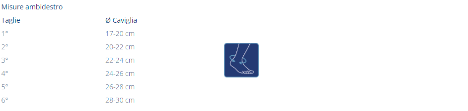 Guida taglia M 501 Orthofasty