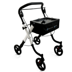 Rollator MORETTI RP505